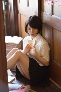 大男当婚共多少集